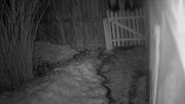 Строю каркасник в стиле Hi-Tech на своём гектаре смотреть онлайн