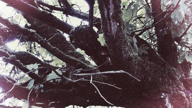 Яркий солнечный юг - Bright Sunny South смотреть онлайн