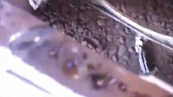 как сделал я спотер