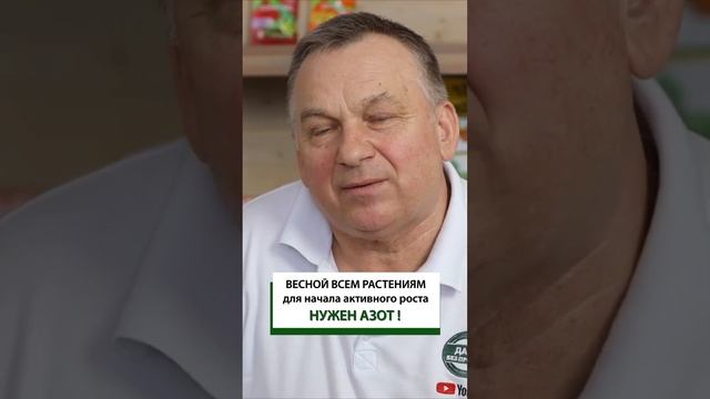 Сделайте это сейчас! Первая подкормка растений весной. #shorts смотреть онлайн