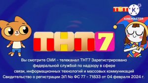 Новое оформление ТНТ7 (26.03.2024 3:45-3:48)