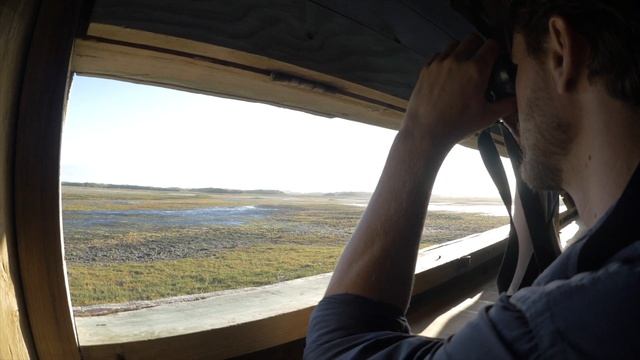 Toyota driving bird conservation смотреть онлайн