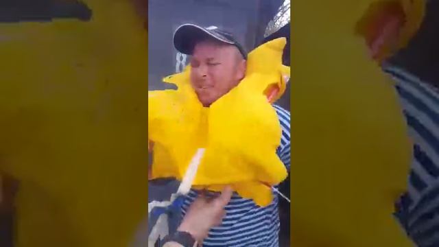 Как правильно надевать спасательный жилет. смотреть онлайн