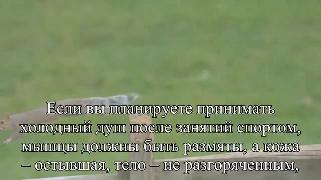 Как использовать холодный душ для похудения — Статья смотреть онлайн