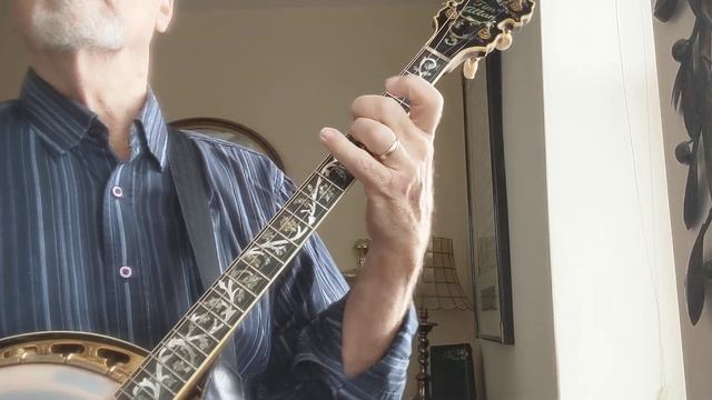 HERE, THERE, and EVERYWHERE - Tim Allan, tenor banjo solo смотреть онлайн