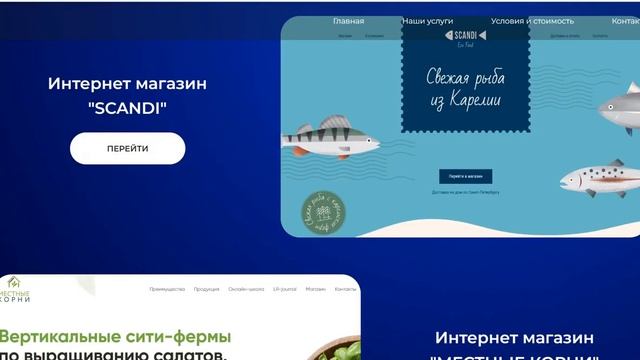 Создание сайтов на Tilda за неделю с нуля смотреть онлайн