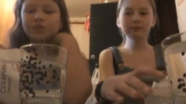 челендж ПОПРОБУЙ НЕ ЗАПИТЬ Часть 1 смотреть онлайн