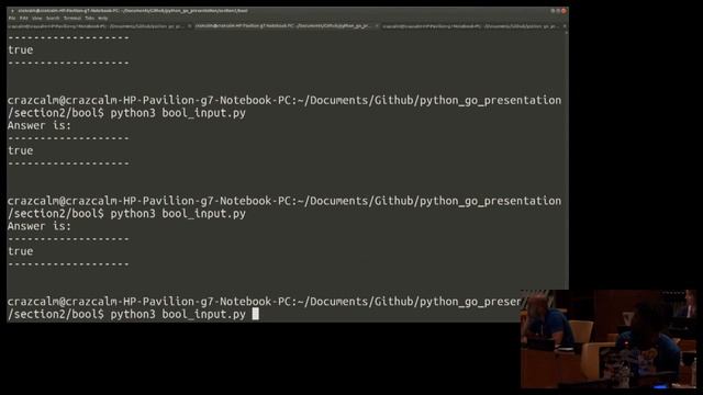 Wrapping Go in Python смотреть онлайн