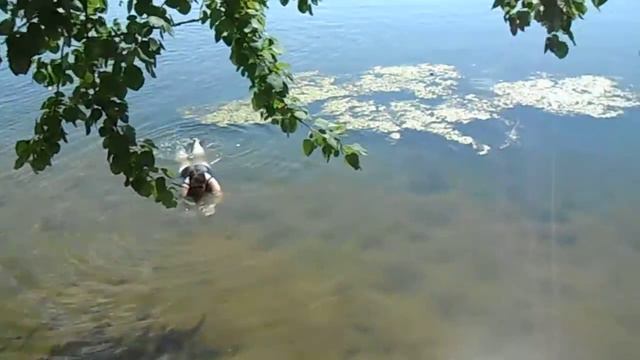 Серебряный Бор, Москва смотреть онлайн