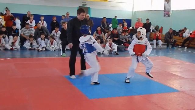 тхэквондо,  соревнования +по тхэквондо втф  видео