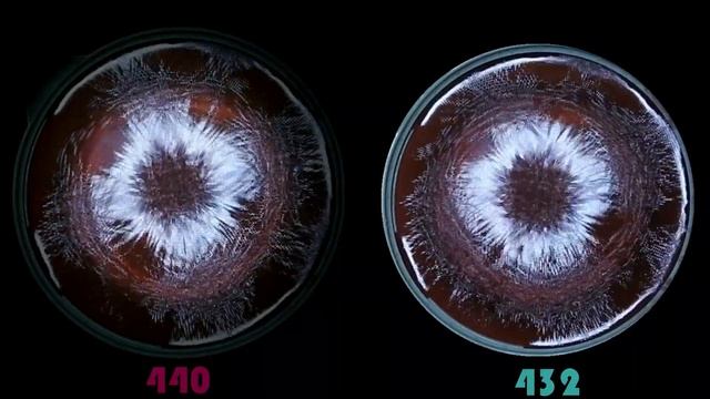 Cymatics 432 Hz vs 440 Hz смотреть онлайн