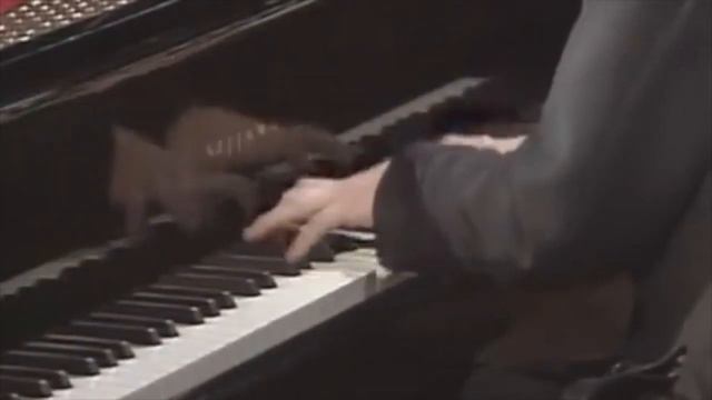 Zimerman: Horrendous Concert Disaster смотреть онлайн