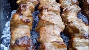 Устройство для вращения шампуров