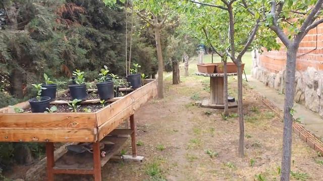 ДОМ В ДЕРЕВНЕ / РЫБА НА УГЛЯХ/КУЛИНАРНЫЙ ШЕДЕВР В ДЕРЕВНЕ/ ХУТУР МУТУР ОТ НАТАЛИИ смотреть онлайн