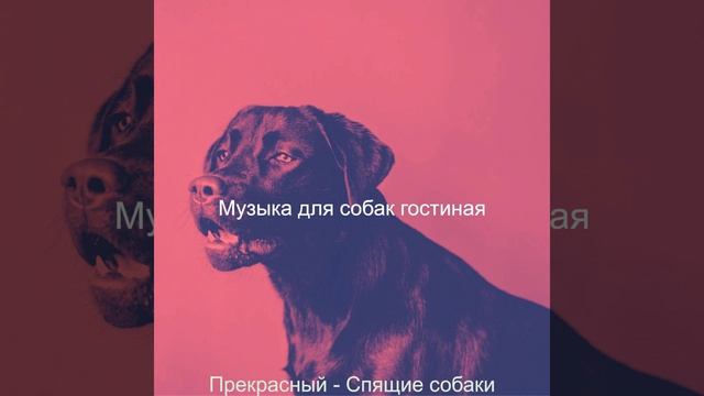 Музыка (Выгул собак) смотреть онлайн