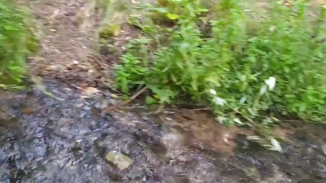 Поездка к истокам реки Хопёр. Река Хопер. Красивые места Пензенской области. смотреть онлайн