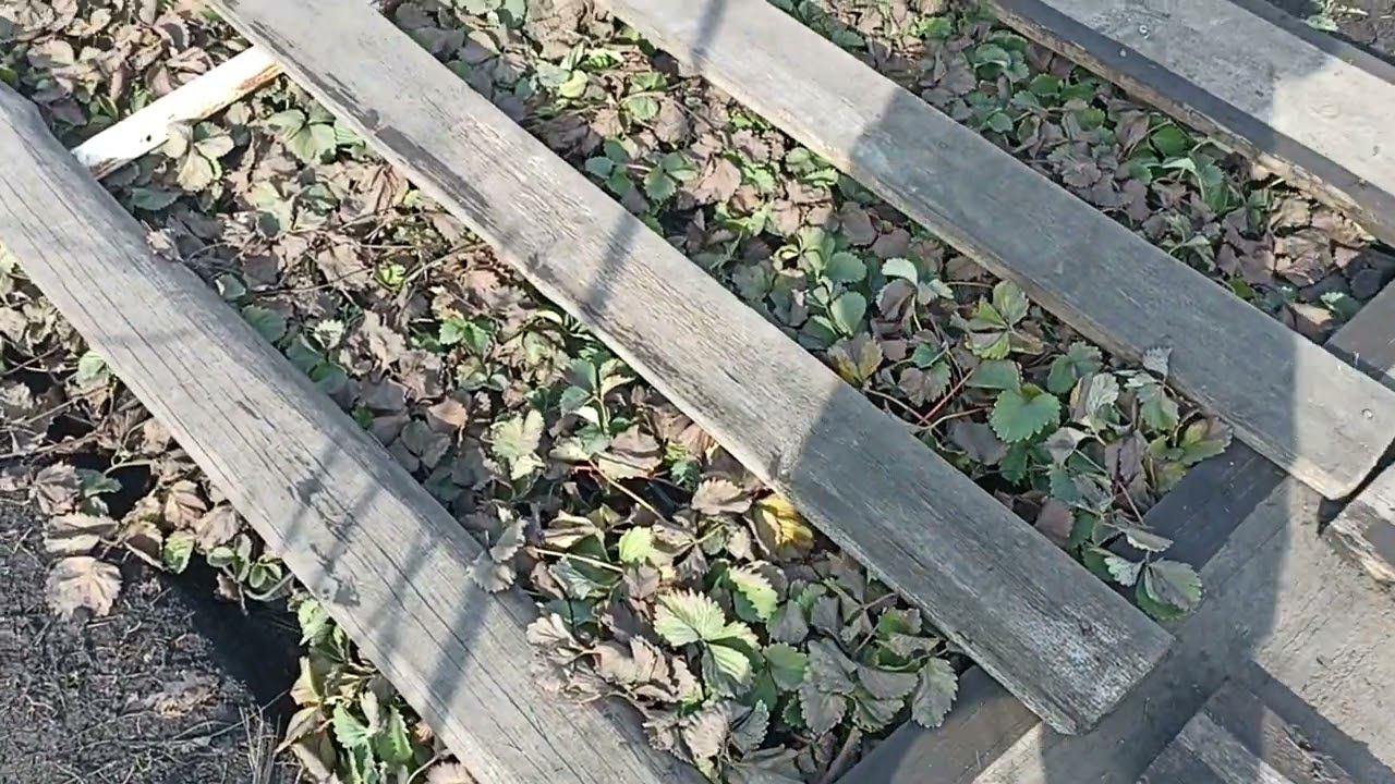 22 марта 2023 г. смотреть онлайн