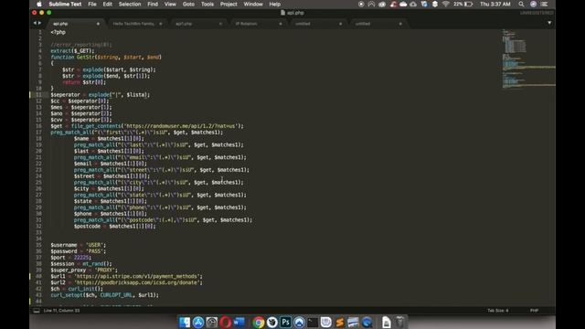 Make CC Stripe or Braintree Checker.