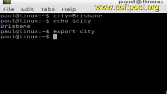How to export environment variable in BASH shell terminal смотреть онлайн