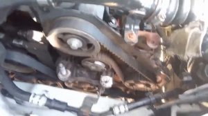 Замена ремня ГРМ Форд ТОРНЕО КОННЕКТ 2009-2013гг