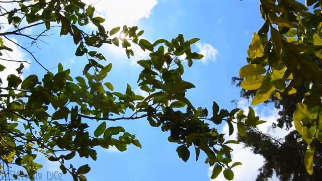 Красивая Атмосферная Музыка ☸ Спокойная Релакс Музыка для Отдыха, Медитации, Сна смотреть онлайн