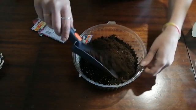 Посев астры смотреть онлайн