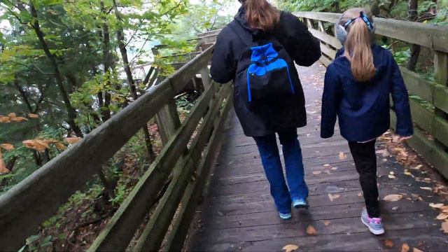 Starved Rock Adventure 2 смотреть онлайн