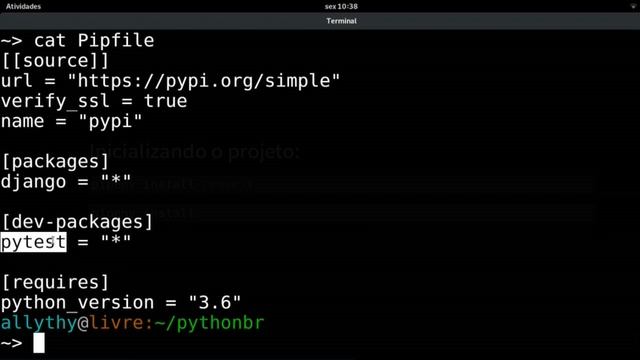 O casamento sagrado entre o Pipfile, pip e Virtualenv - Allythy Souza [PyBR14] смотреть онлайн