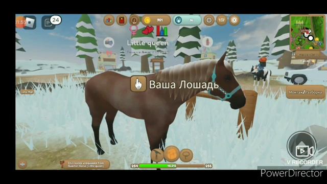 ОБЗОР НОВОГОДНЕЙ АМУНИЦИИ//WILD HORSE ISLAND🐎 #horse #конюшня #wildhorseislands #новыйгод смотреть онлайн