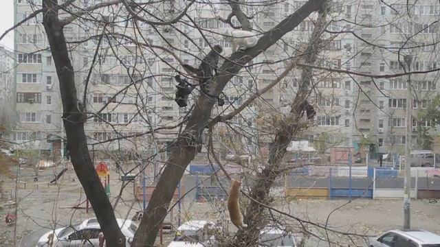 Озорные внуки смотреть онлайн