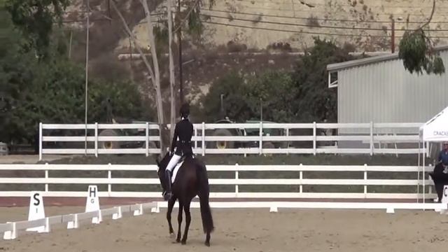 Hailey and JO Del Mar 10/29/16 1st level Test 3 62.353 смотреть онлайн