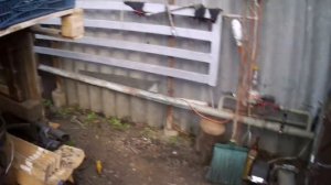 Подземная теплица, её характеристики плюсы и минусы.