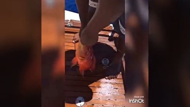 У Бородиной спал купальник на рыбалке))) смотреть онлайн