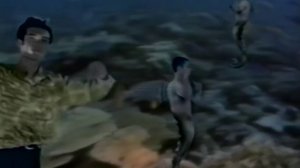 Браво-Жар-птица.mp4