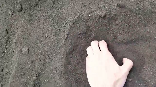 Пустыня своими руками! Делаем пустыню во всех регионах страны смотреть онлайн