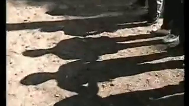 Тимбилдинг, тренинг построения команды на природе, Teambuilding