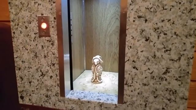 Макет лифта вблизи смотреть онлайн