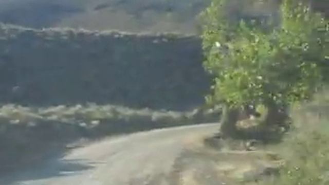 Кухарук Вячеслав Nevada смотреть онлайн