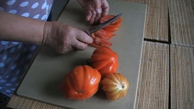 17 сентября 2019г. сорт томата НИНА дегустация с мамой смотреть онлайн