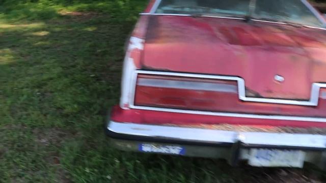 ABANDONED Thunderbird Will It Run After 25 Years?