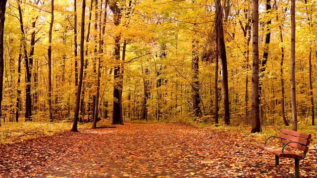 Why we call the Seasons Summer, Autumn, Winter and Spring смотреть онлайн