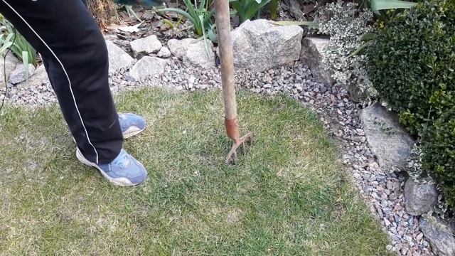 Газон.Практические советы.Уход в апреле.Сухой апрель для газона.Сад.Дача.Ландшафтный дизайн. смотреть онлайн