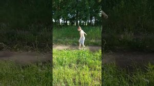 Клип на песню птичка тима белорусских