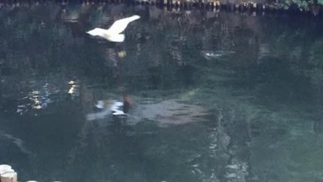 Пожелания и тосты на казахском языке, совсем немного смотреть онлайн