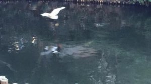 Пожелания и тосты на казахском языке, совсем немного