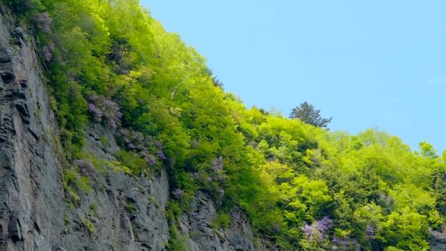 【長野移住】駐車場からちょっと歩けば大絶景大滝が待っている!!｜米子大瀑布｜須坂温泉｜ドライブ｜田舎暮らし｜長野県｜4K смотреть онлайн