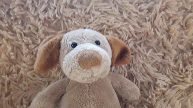 Тузик ШОУ!!!!