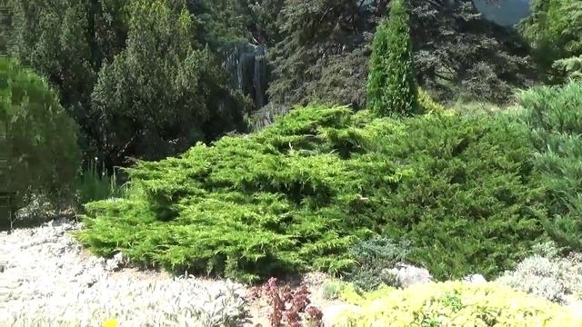 Ялта альпийская горка смотреть онлайн