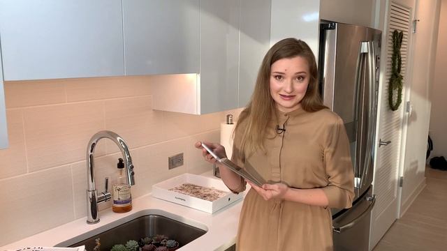 Как поливать суккуленты | Мой дневник полива смотреть онлайн
