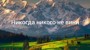 Никогда никого не вини Христианская песня